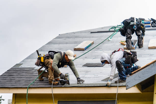 Professional Roofing technician working in Riley, IN
